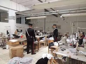 一只老鼠引發(fā)的法律風暴 意大利華人老板娘被捕背后的警示